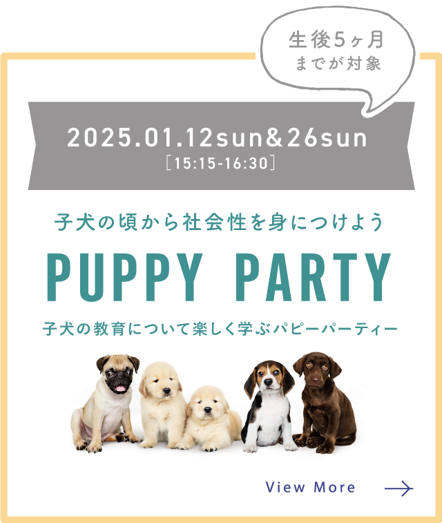 PUPPY PARTY